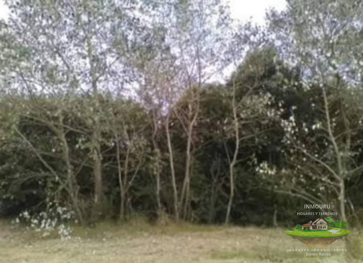 Chacra ID.342 - Se vende chacra en Punta Espinillo