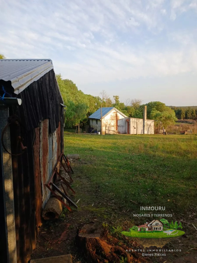 Chacra ID.477 - Se vende chacra con 2 casas y galpones, Migues, Canelones