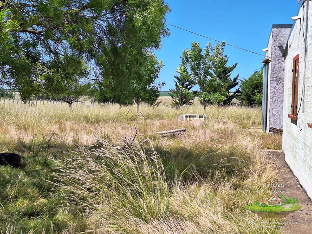 Chacra ID.180 - VENTA de campo en MINAS (Lavalleja)