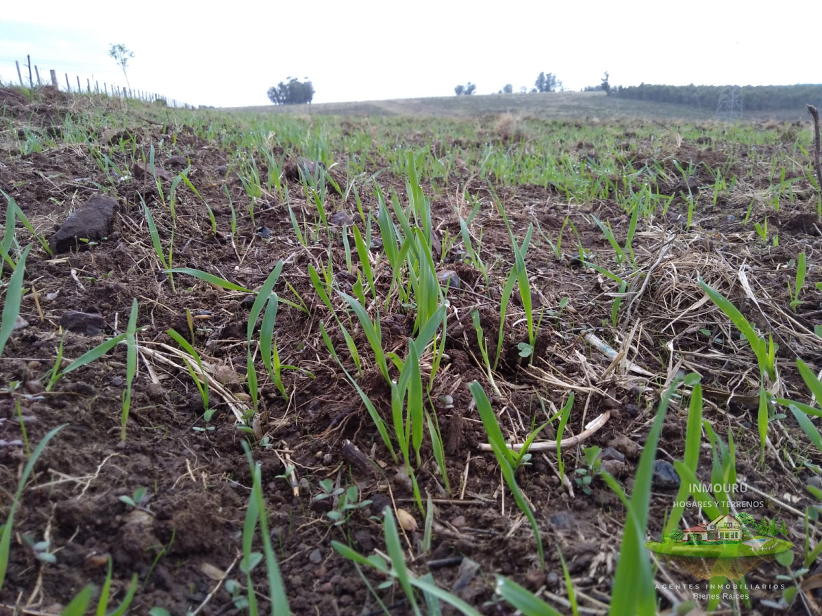 Chacra ID.2166 - Venta chacra de 3 Has