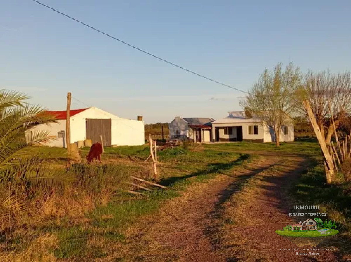 Chacra ID.1843 - VENTA de CHACRA  en CANELON CHICO