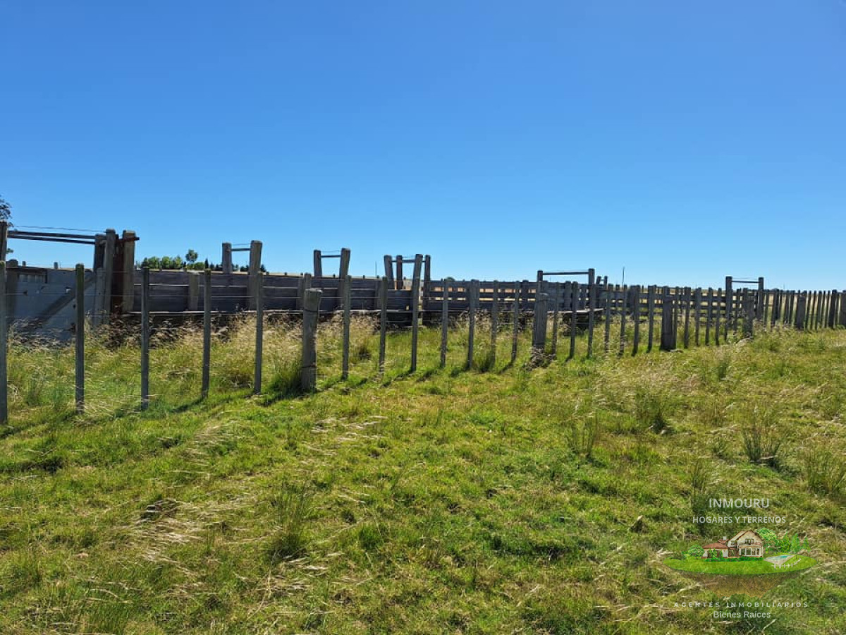 Chacra ID.180 - VENTA de campo en MINAS (Lavalleja)