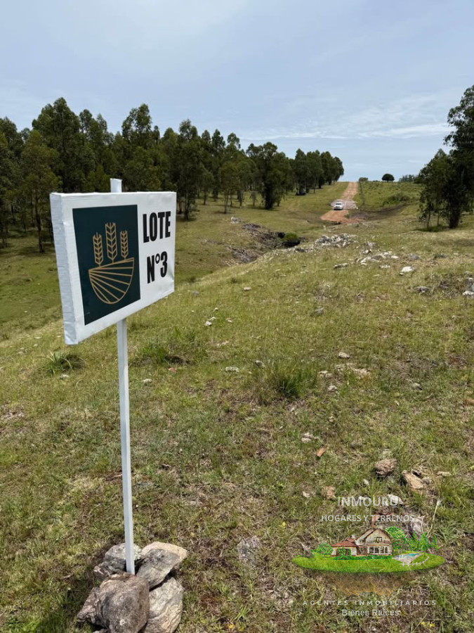 Chacra ID.2600 - Venta de 9 chacras 