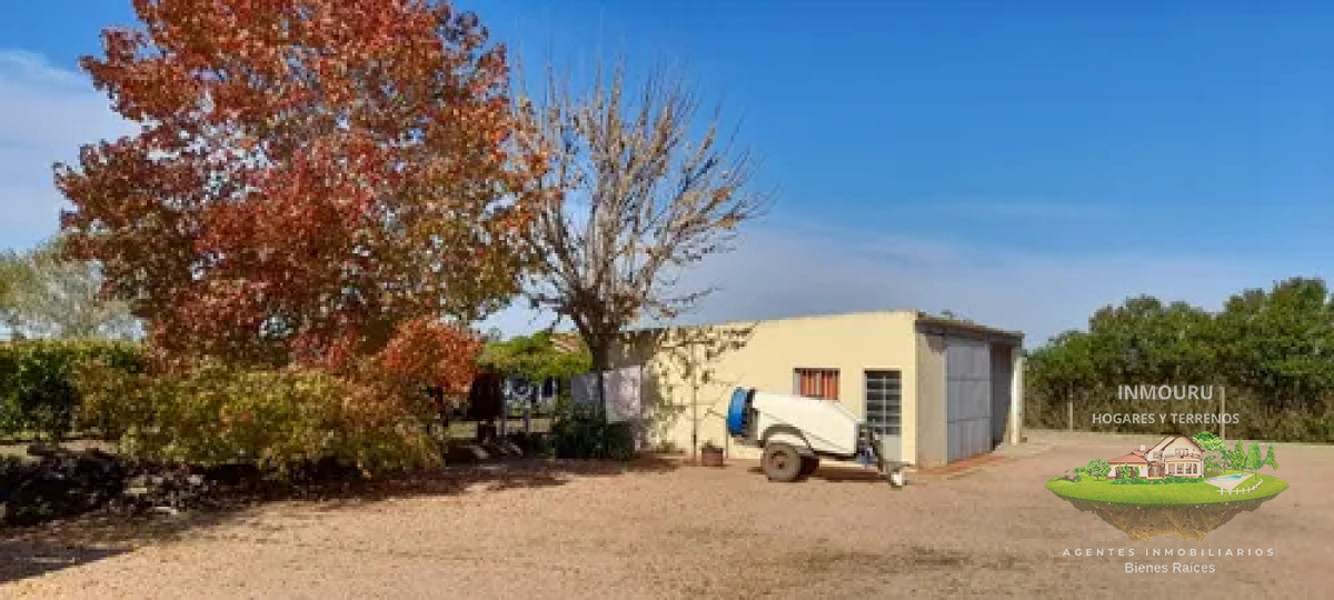 Chacra ID.1841 - VENTA de VIÑEDO Y CASAS con BODEGA en TOLEDO CHICO