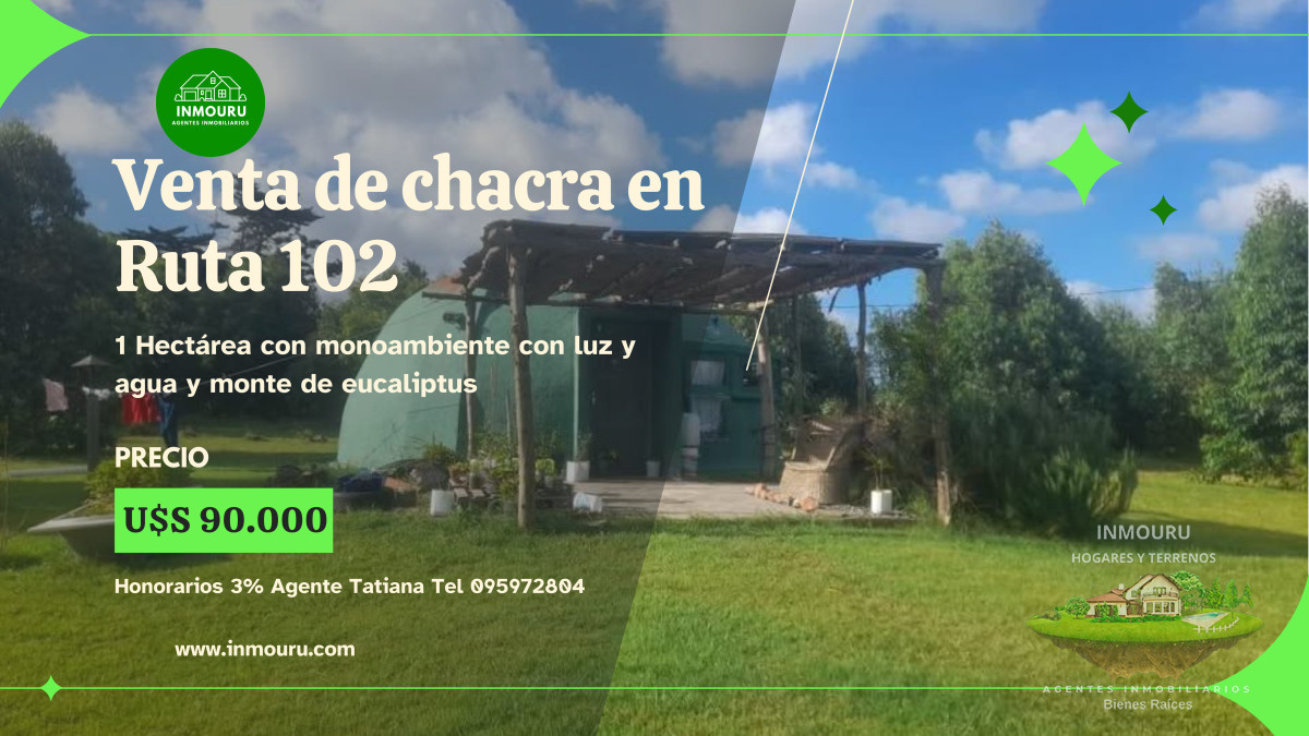 Chacra ID.1839 - Venta de chacra en Colonia Nicolich