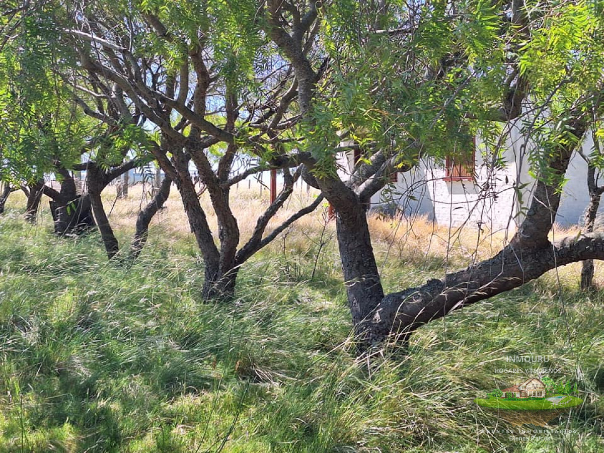 Chacra ID.180 - VENTA de campo en MINAS (Lavalleja)