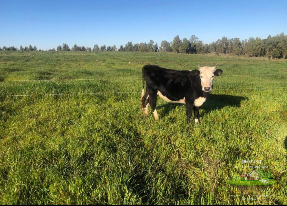 Chacra ID.2419 - Se Vende chacra en San Jacinto