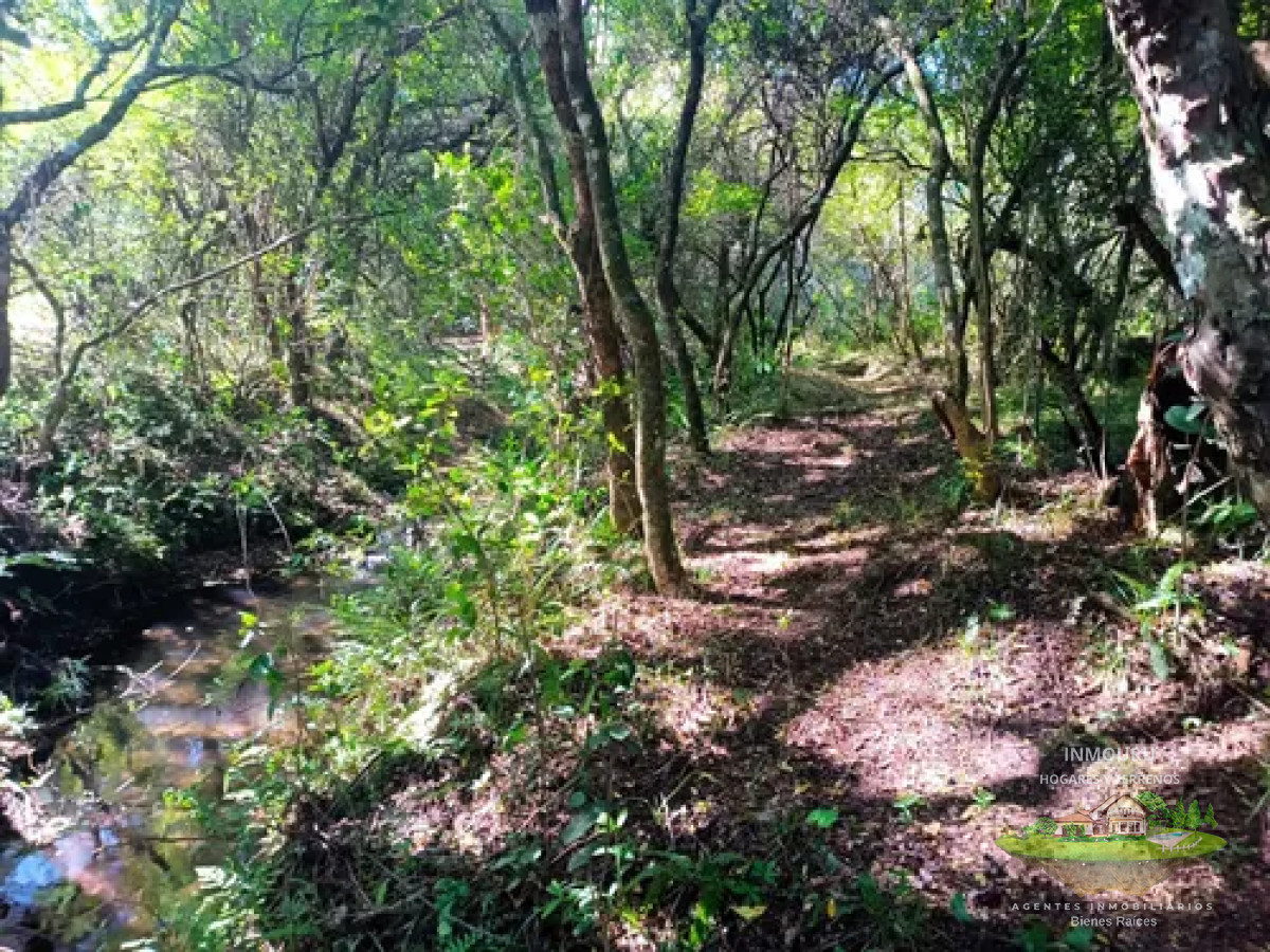 Chacra ID.1287 - Venta de chacra en Pueblo Edén