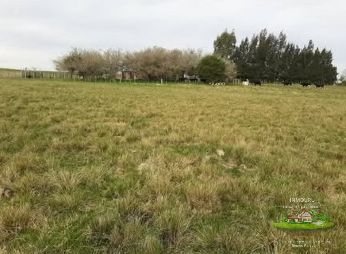 Chacra ID.1717 - Venta de chacra en Paraje La Paloma