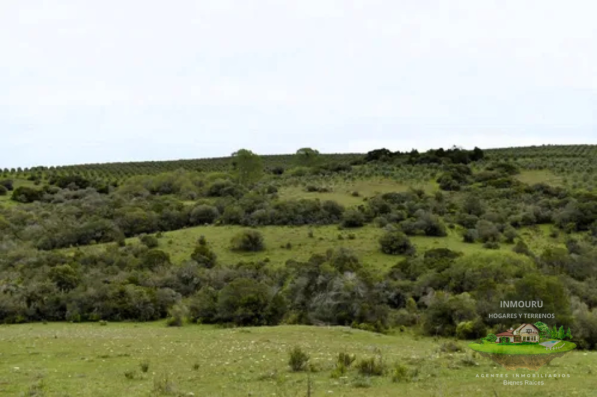Chacra ID.1287 - Venta de chacra en Pueblo Edén