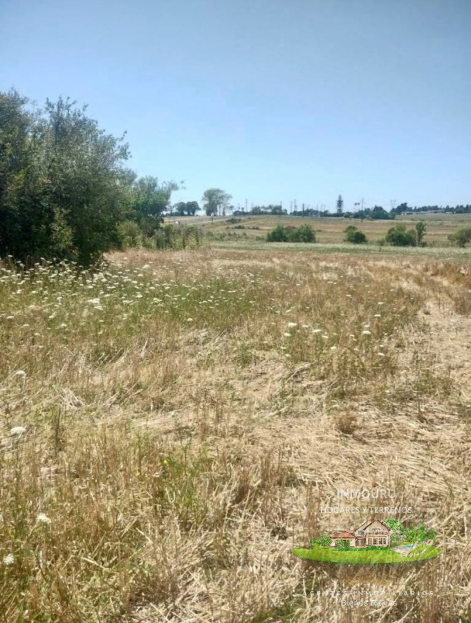 Chacra ID.2520 - SE VENDE CHACRA EN ZONA CANELONES- PROGRESO