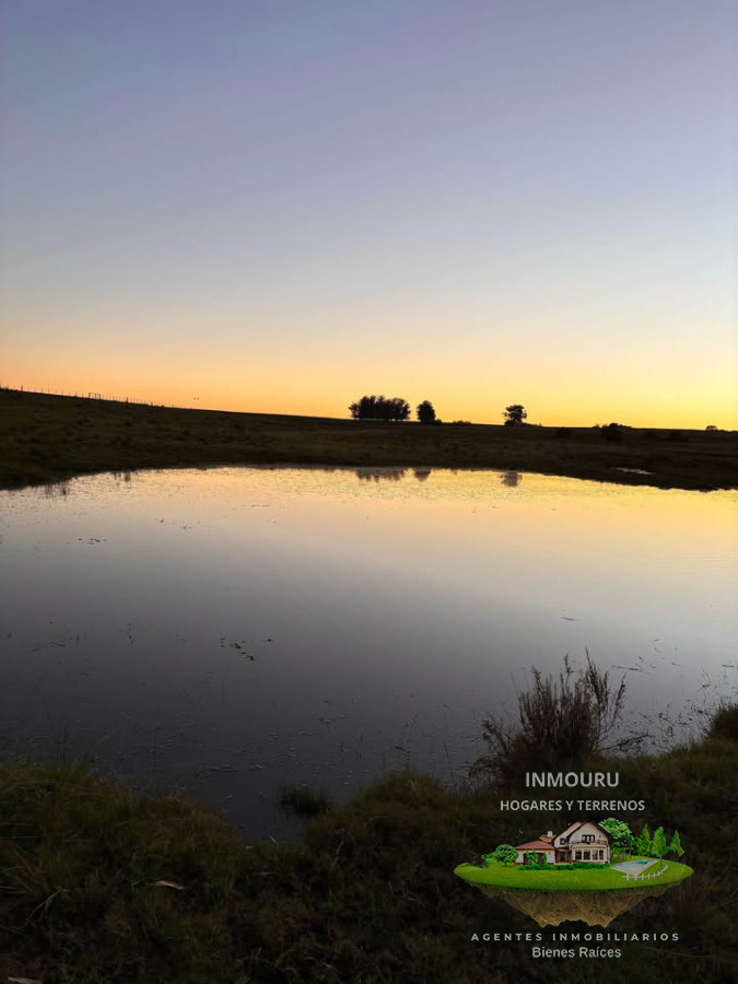 Chacra ID.1251 - Se vende chacra de 21 hectáreas en zona José Ignacio, Maldonado