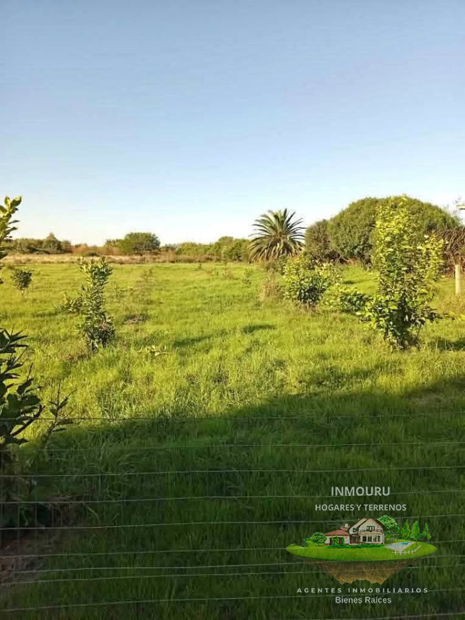 Chacra ID.909 - Venta de chacra el Colonia 