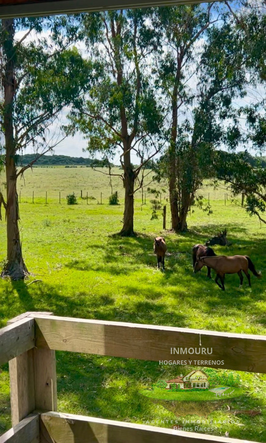 Chacra ID.2081 - Venr de chacra marìtima