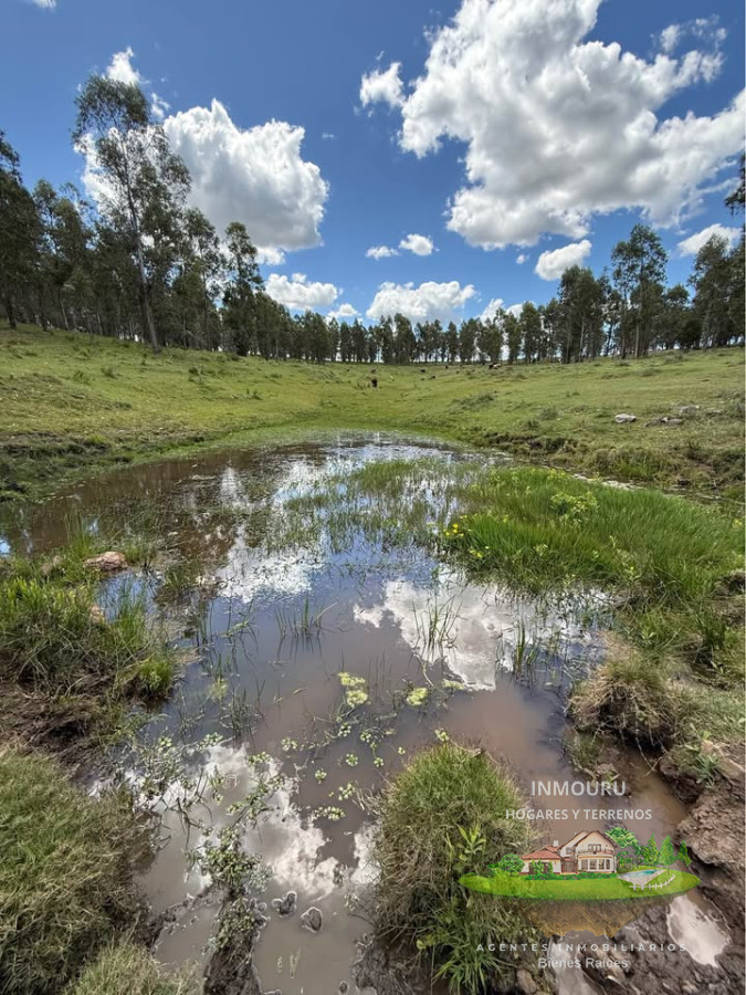 Chacra ID.2600 - Venta de 9 chacras 