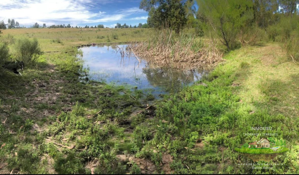 Chacra ID.2419 - Se Vende chacra en San Jacinto