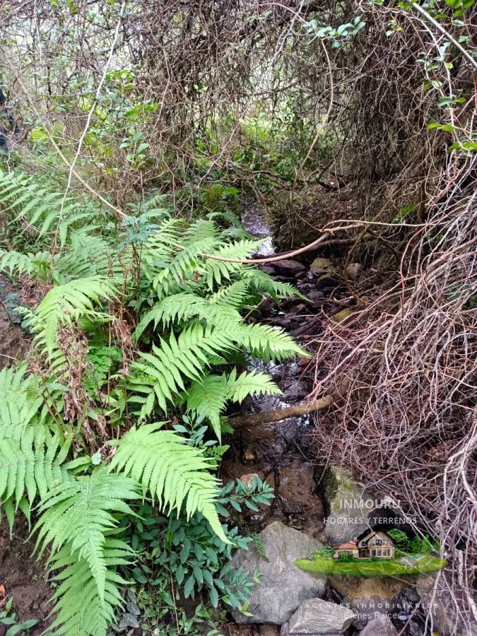 Chacra ID.1287 - Venta de chacra en Pueblo Edén
