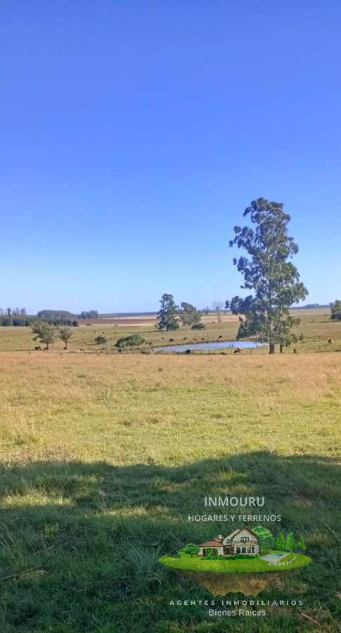 Chacra ID.1551 - Venta de chacra con casa en Paysandú