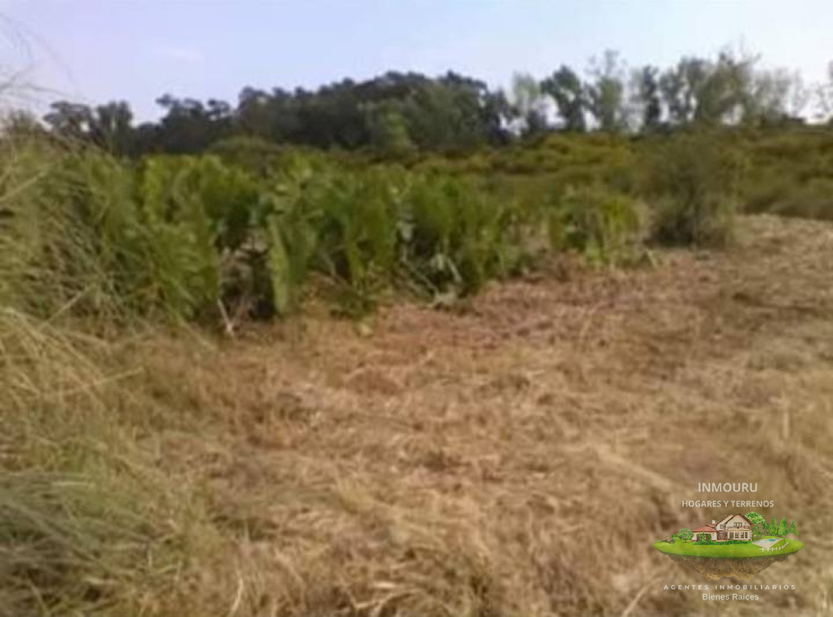 Chacra ID.342 - Se vende chacra en Punta Espinillo