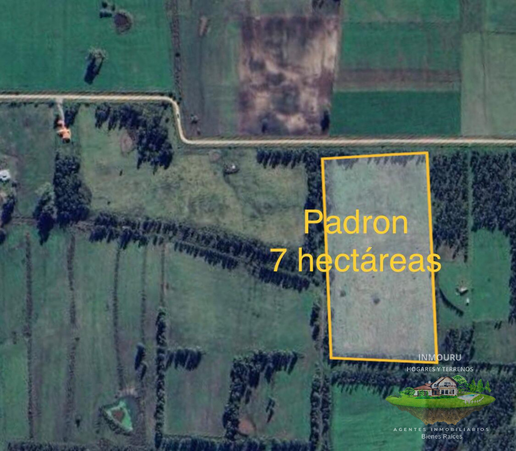 Chacra ID.207 - HERMOSA chacra en VENTA ubicada en SAN JACINTO