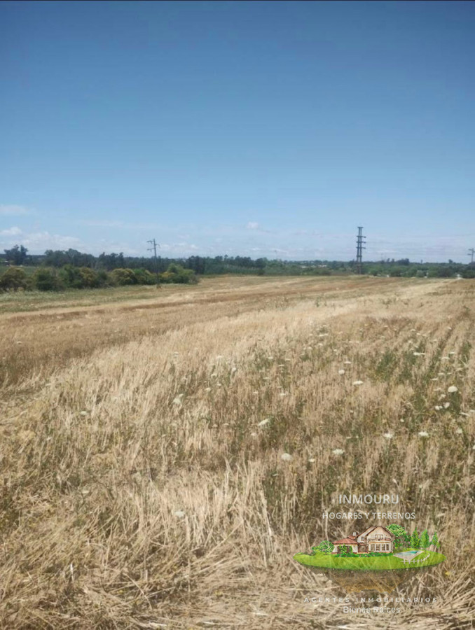 Chacra ID.2520 - SE VENDE CHACRA EN ZONA CANELONES- PROGRESO