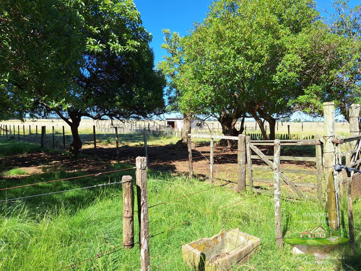 Chacra ID.180 - VENTA de campo en MINAS (Lavalleja)