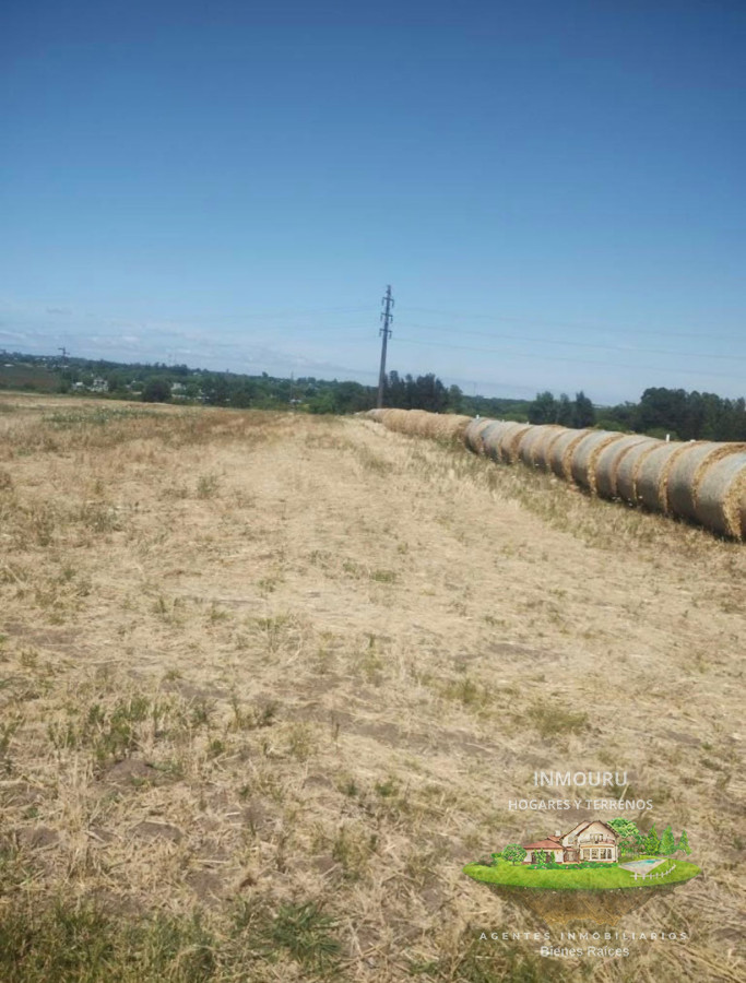 Chacra ID.2520 - SE VENDE CHACRA EN ZONA CANELONES- PROGRESO