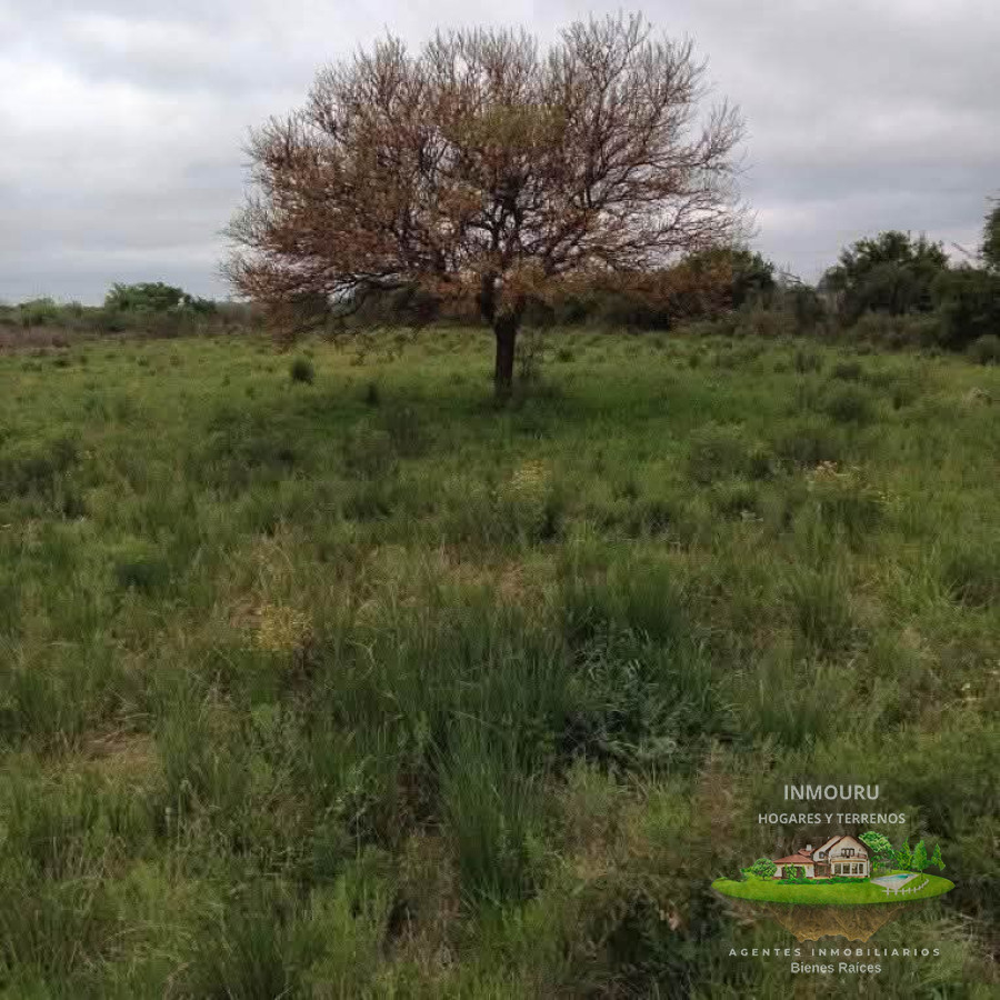 Chacra ID.909 - Venta de chacra el Colonia 