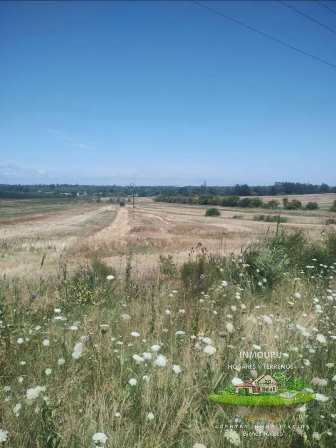 Chacra ID.2520 - SE VENDE CHACRA EN ZONA CANELONES- PROGRESO