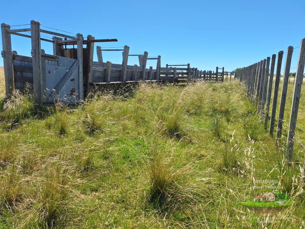 Chacra ID.180 - VENTA de campo en MINAS (Lavalleja)