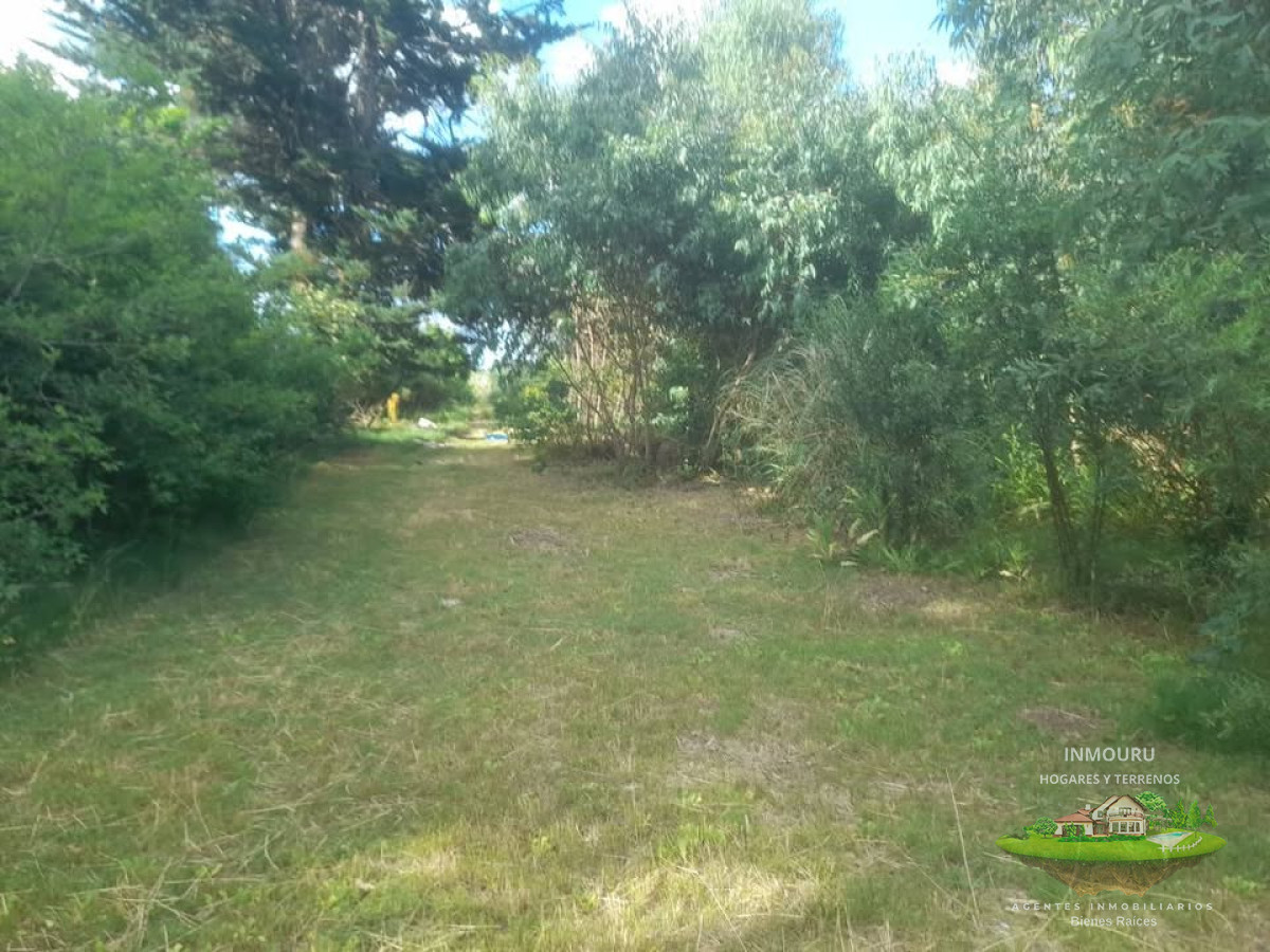 Chacra ID.1839 - Venta de chacra en Colonia Nicolich
