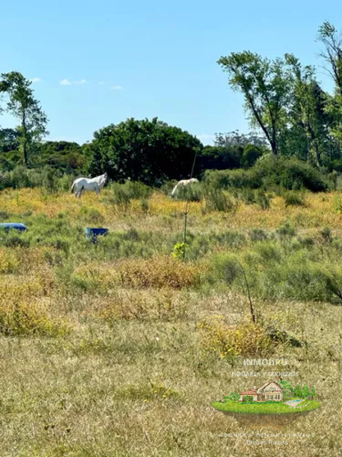 Chacra ID.589 - Chacra Multiproposito en San Jose 