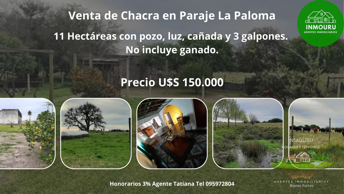 Chacra ID.1717 - Venta de chacra en Paraje La Paloma