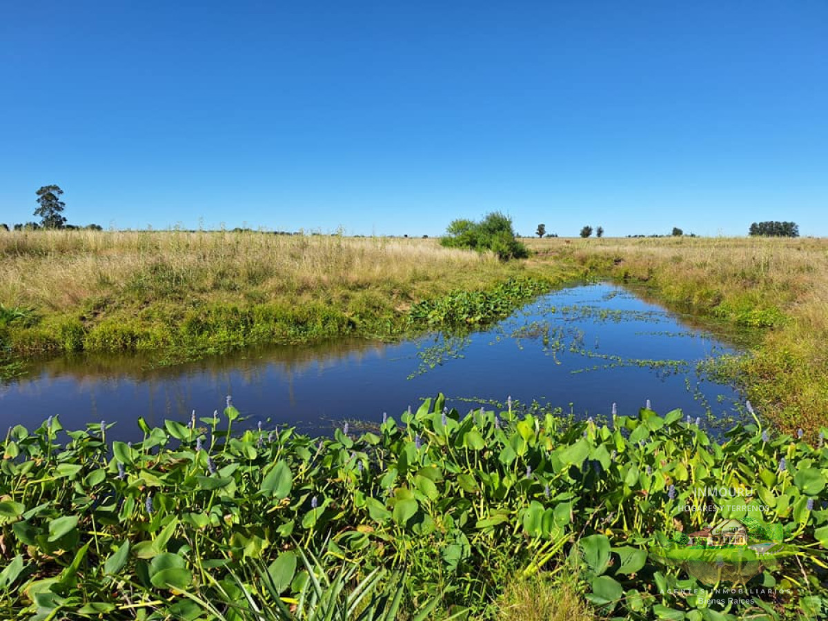 Chacra ID.180 - VENTA de campo en MINAS (Lavalleja)