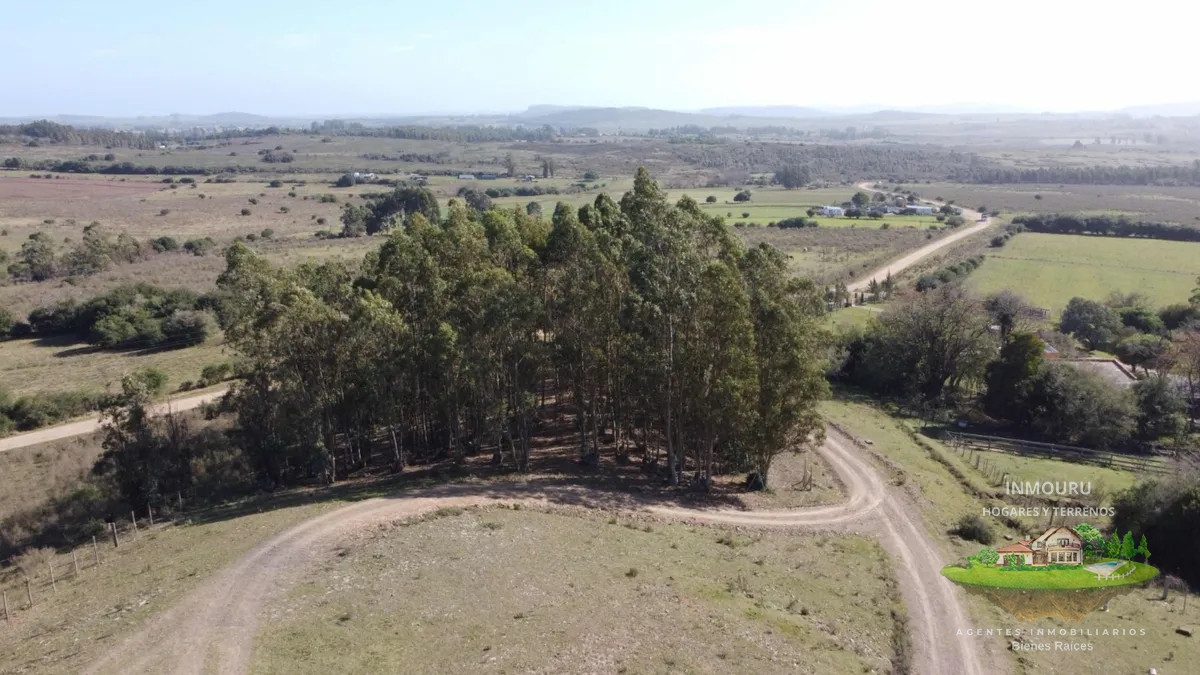 Chacra ID.838 - VENTA de hermosa chacra en LAVALLEJA (Minas)