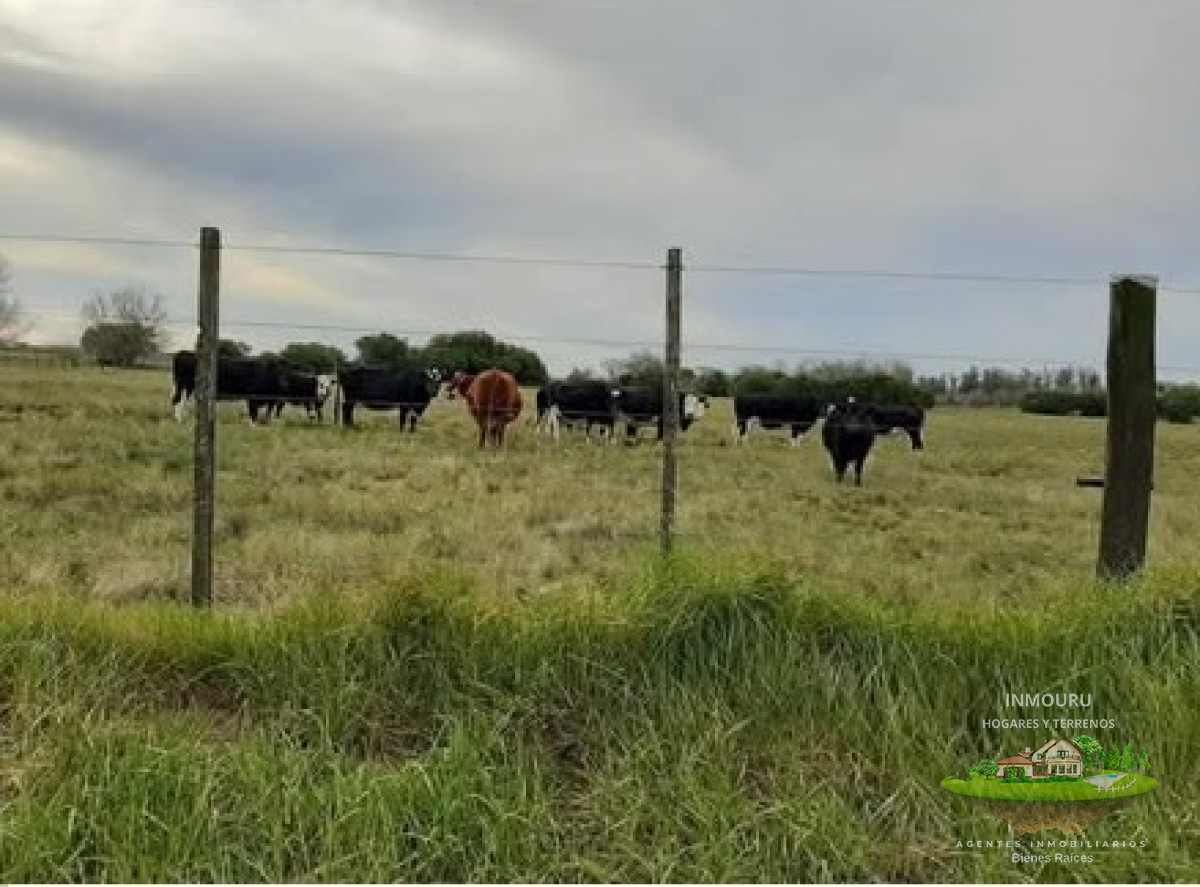 Chacra ID.1717 - Venta de chacra en Paraje La Paloma