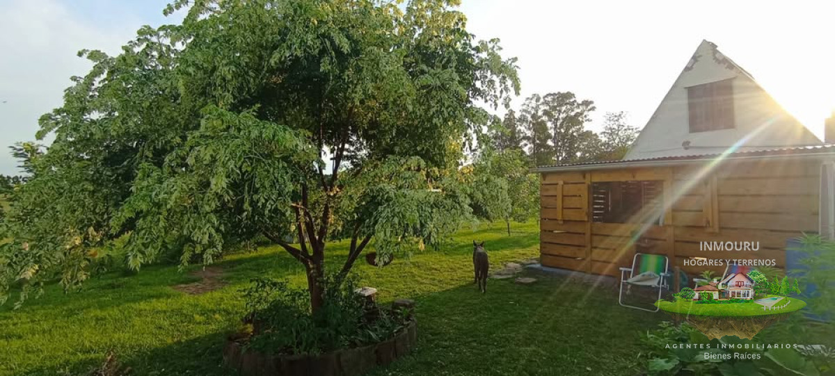 Chacra ID.1551 - Venta de chacra con casa en Paysandú