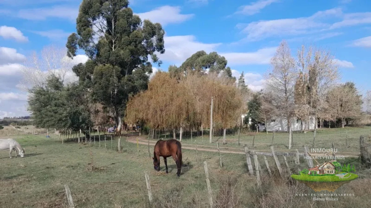 Chacra ID.2197 - VENTA de chacra de 5 Hectáreas en CANELON CHICO