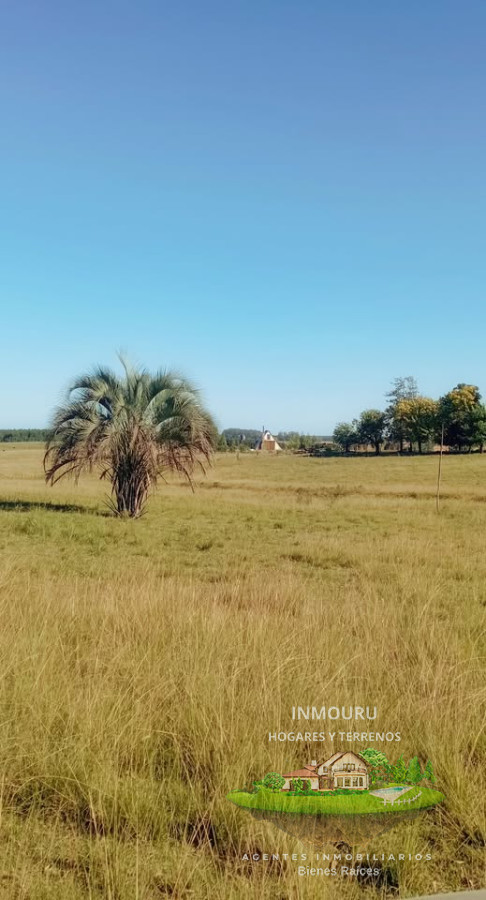 Chacra ID.1551 - Venta de chacra con casa en Paysandú