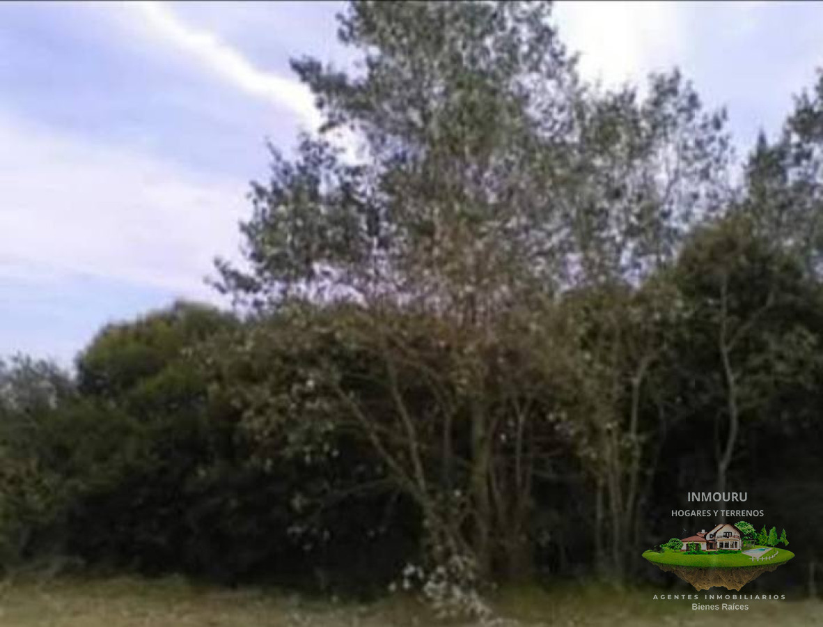 Chacra ID.342 - Se vende chacra en Punta Espinillo