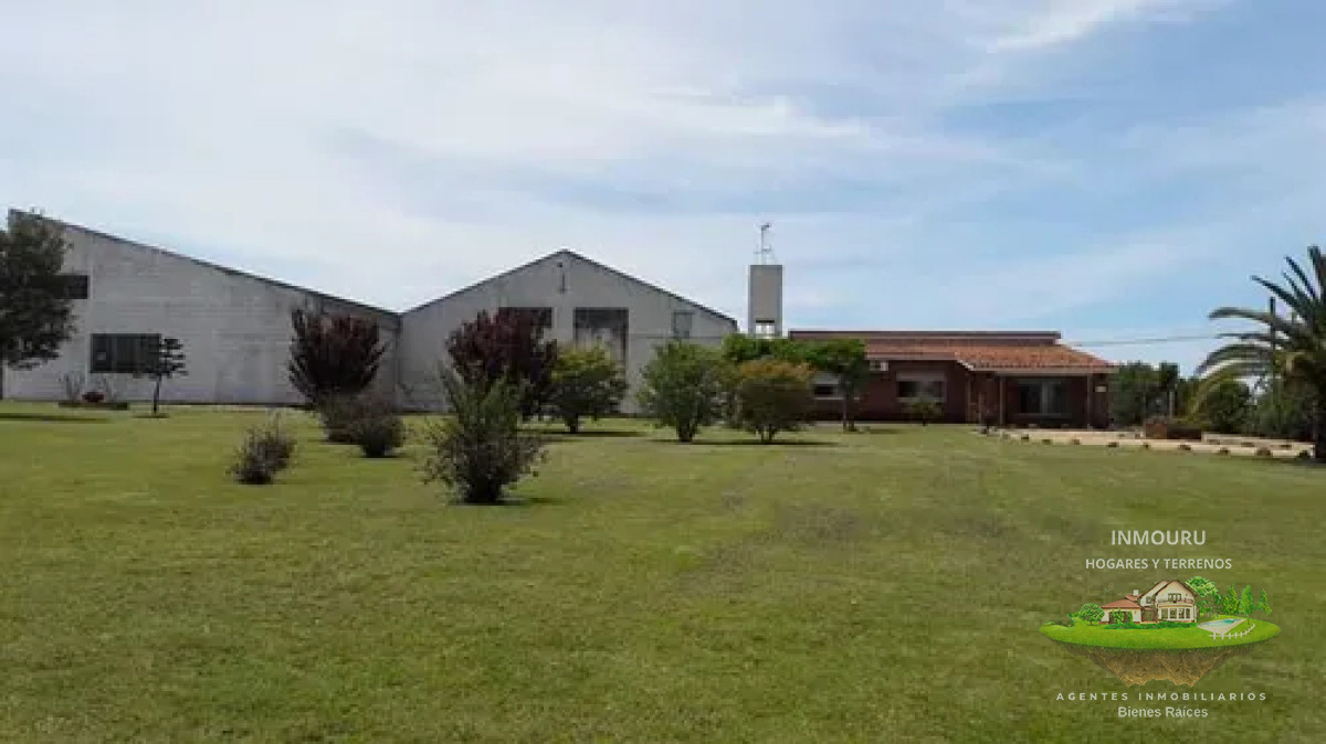 Chacra ID.1841 - VENTA de VIÑEDO Y CASAS con BODEGA en TOLEDO CHICO