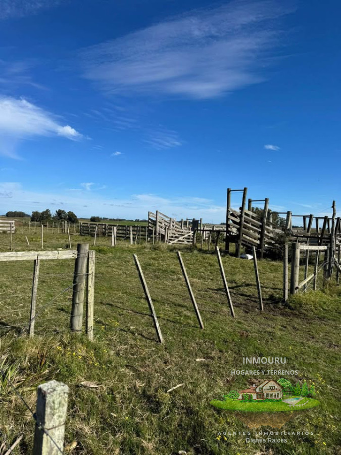 Chacra ID.1251 - Se vende chacra de 21 hectáreas en zona José Ignacio, Maldonado