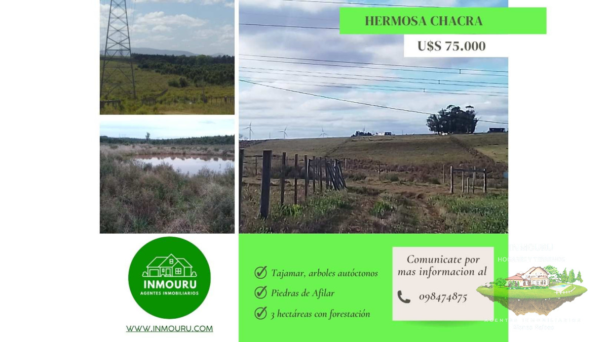 Chacra ID.2166 - Venta chacra de 3 Has