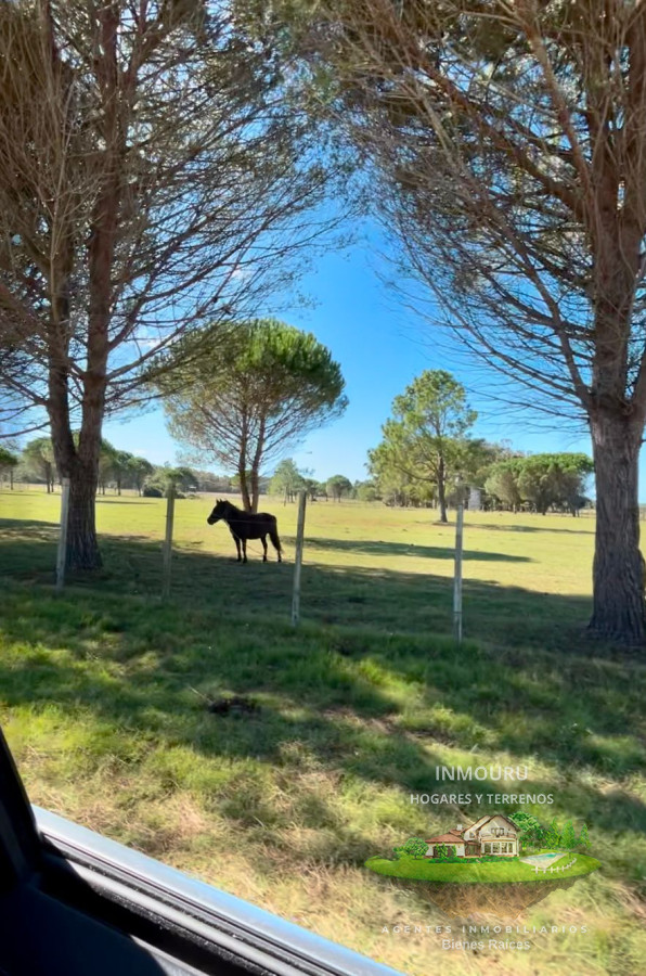 Chacra ID.2081 - Venr de chacra marìtima