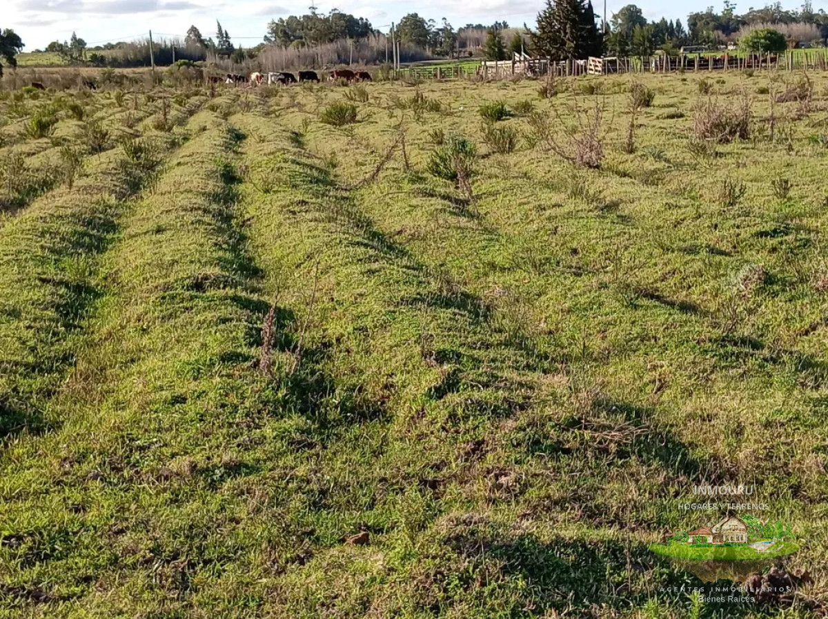Chacra ID.1843 - VENTA de CHACRA  en CANELON CHICO