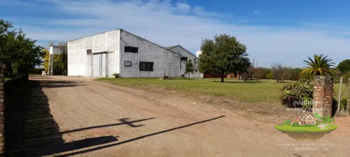 Chacra ID.1841 - VENTA de VIÑEDO Y CASAS con BODEGA en TOLEDO CHICO