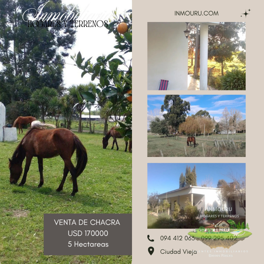 Chacra ID.2197 - VENTA de chacra de 5 Hectáreas en CANELON CHICO