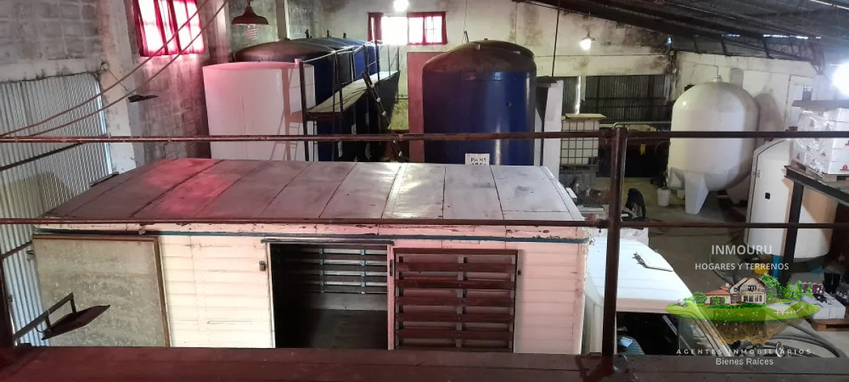 Chacra ID.1841 - VENTA de VIÑEDO Y CASAS con BODEGA en TOLEDO CHICO