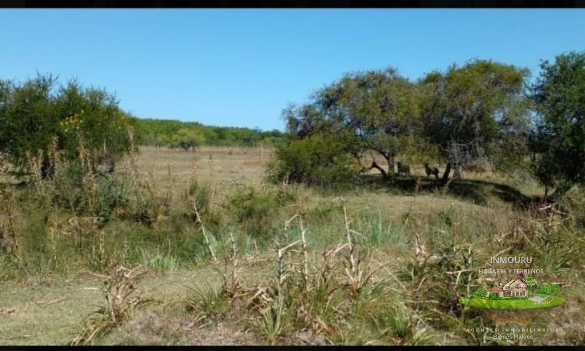 Chacra ID.2197 - VENTA de chacra de 5 Hectáreas en CANELON CHICO