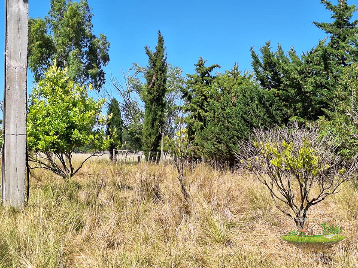 Chacra ID.180 - VENTA de campo en MINAS (Lavalleja)